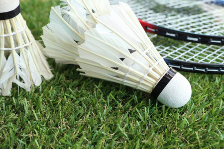 郑钦文本赛 郑钦文本赛