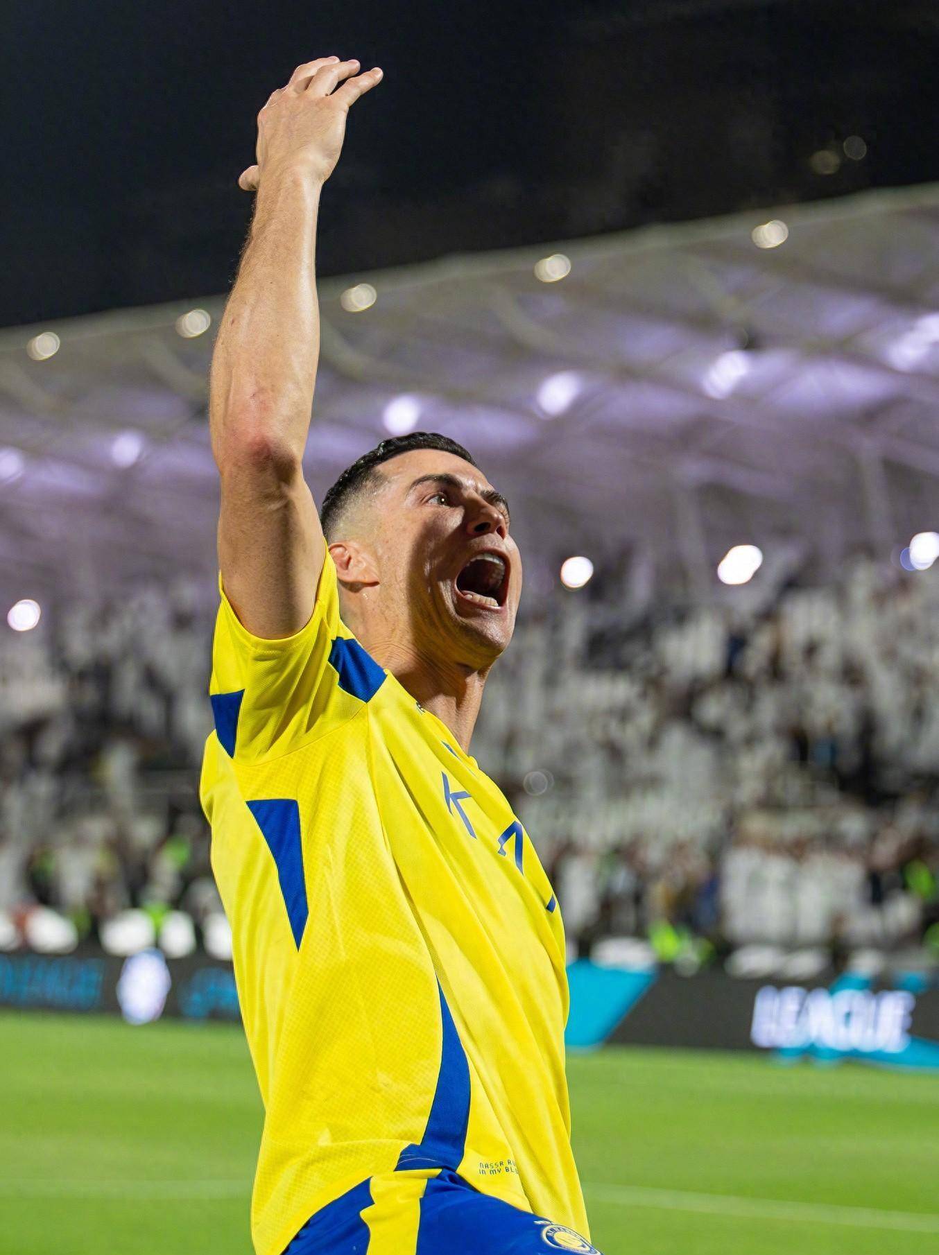 保留了独立 保留了独立