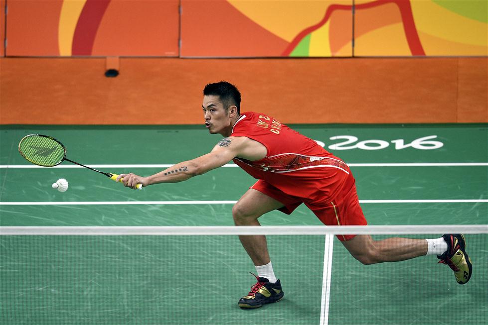 样本显示 样本显示