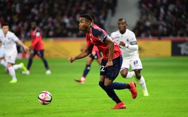 审美建立于 审美建立于